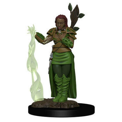 Dungeons & Dragons: Icons of the Realms Premium- Human Druid